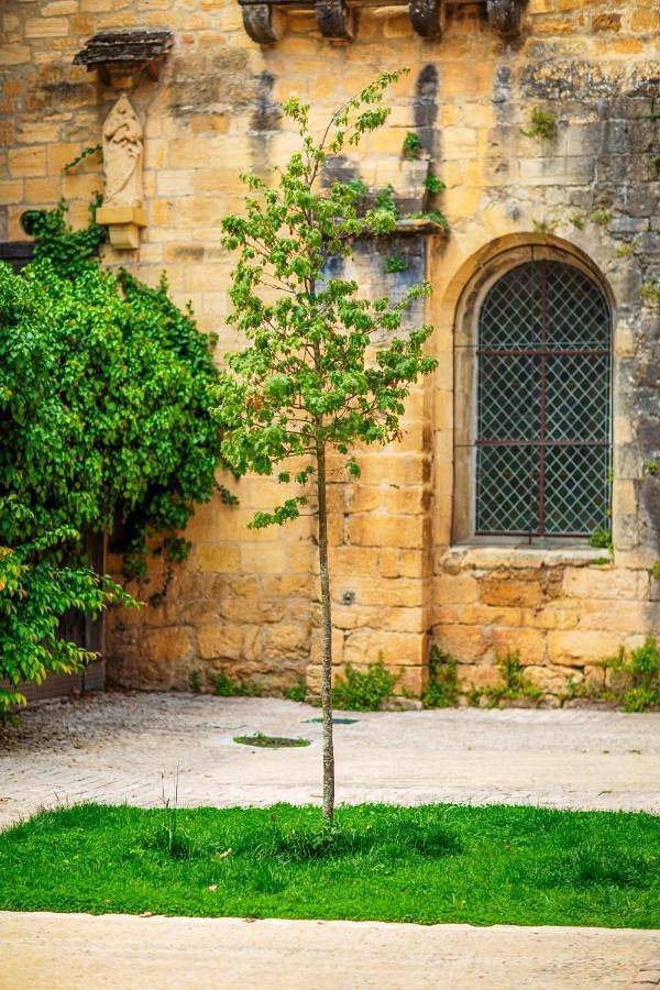 Location de vacances pour 7 personnes, avec jardin ainsi que vue et piscine, adapté aux familles dans Rue Typique De Sarlat Sarlat La Caneda - 3