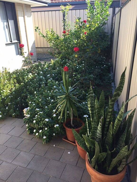 Meadow Springs - Modern und stilvoll in Mandurah, Western Australia