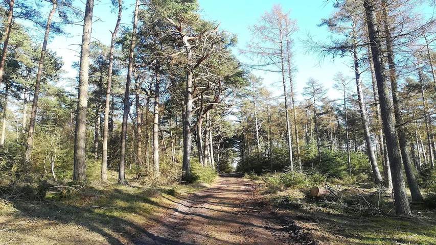 Ferienhaus für 7 Personen, mit Terrasse in Gedesby - 4