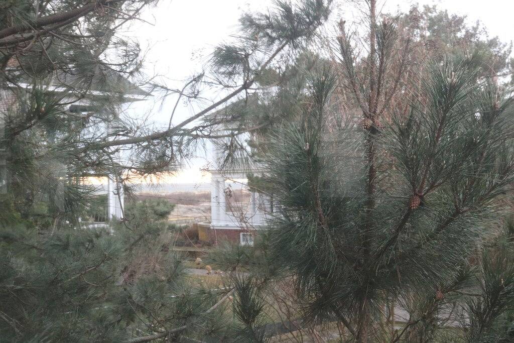 Oceanfront Cottage privaten abgelegenen Dog Friendly bei Colvmns by the Sea in Cape May, Cape May County