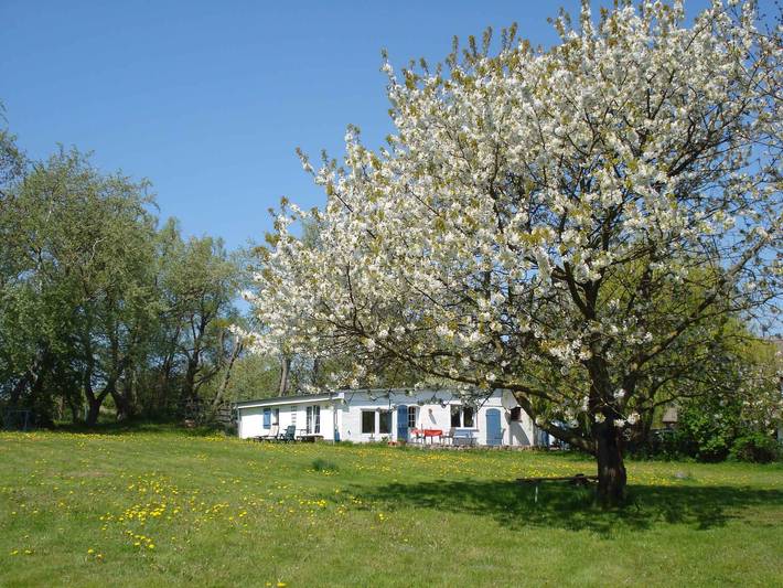 Ferienhaus mit Terrasse und großer Sonnenwiese in Puddemin, Poseritz