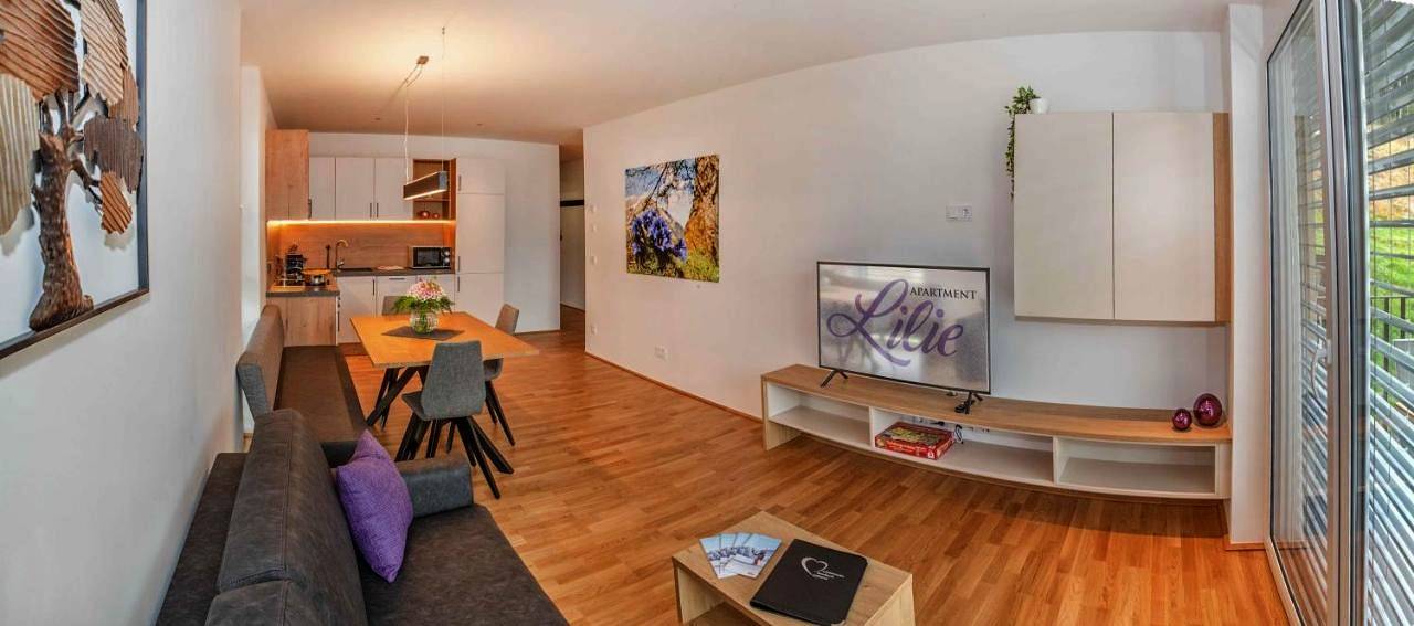 Geheel appartement, One-Bedroom Apartment in Tux Alps, Innsbruck