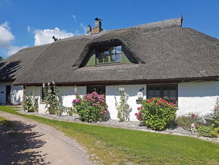 Ganze Ferienwohnung, Ferienhaus und -wohnung unterm Reetdach in Woorke - Ferienwohnung unterm Reetdach in Woorke in Patzig, Rügen