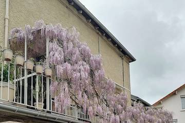 Location de vacances pour 2 personnes, avec jardin à Le Coteau