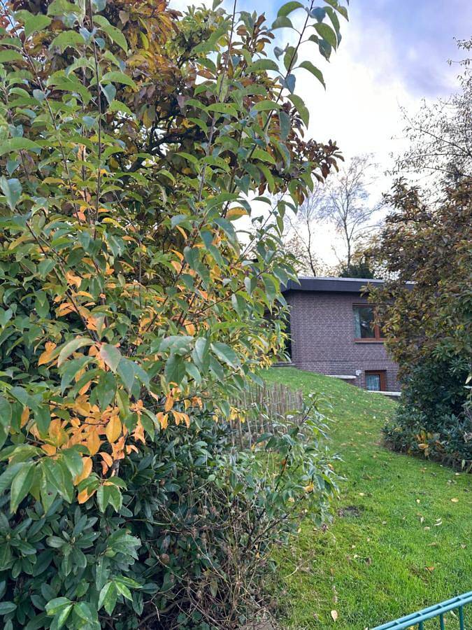 Ferienwohnung für 5 Personen, mit Terrasse und Garten sowie Ausblick in Wildeshausen