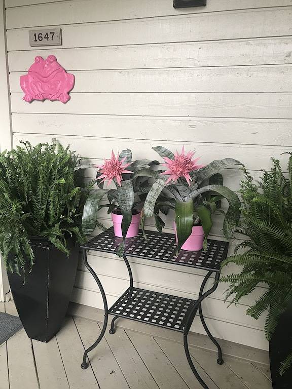 Vacation rental for 4 people, with yard and balcony, with pets in Seabrook Island