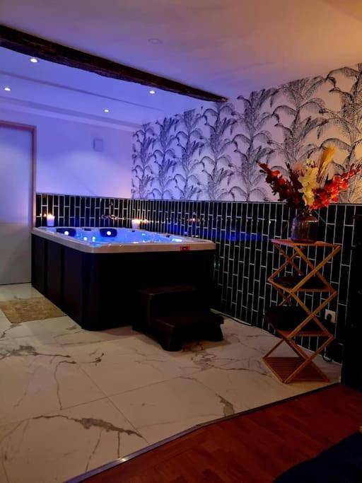 Gîte pour 4 personnes, avec jardin et jacuzzi, animaux acceptés à Saint-Michel-de-Lanès