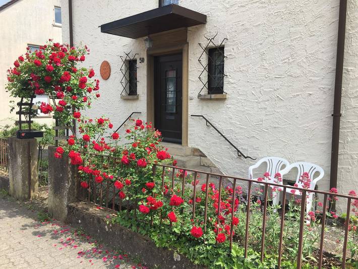 Ferienwohnung für 4 Personen, mit Garten, kinderfreundlich in Bad Bergzabern - 3