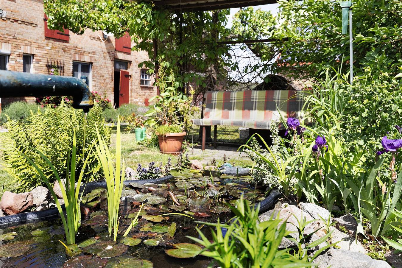 Switch Off from Everyday Life, Enjoy Peace and Nature in Reudnitz, Friedland
