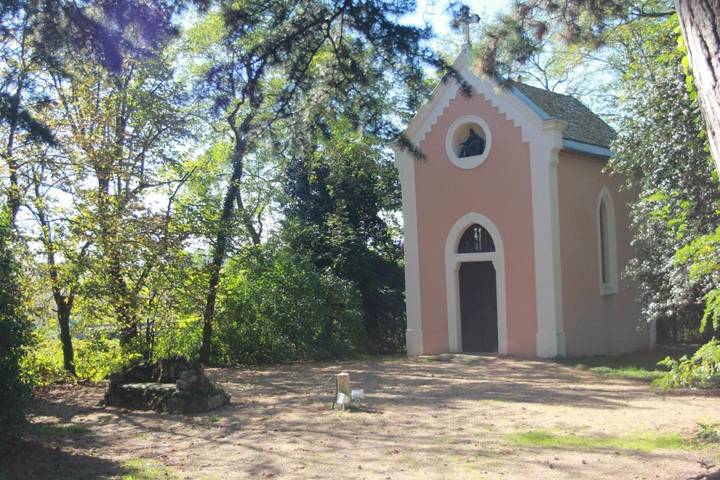 Maison d’hôte pour 2 personnes, avec terrasse et jacuzzi ainsi que jardin et piscine dans Rhône - 4
