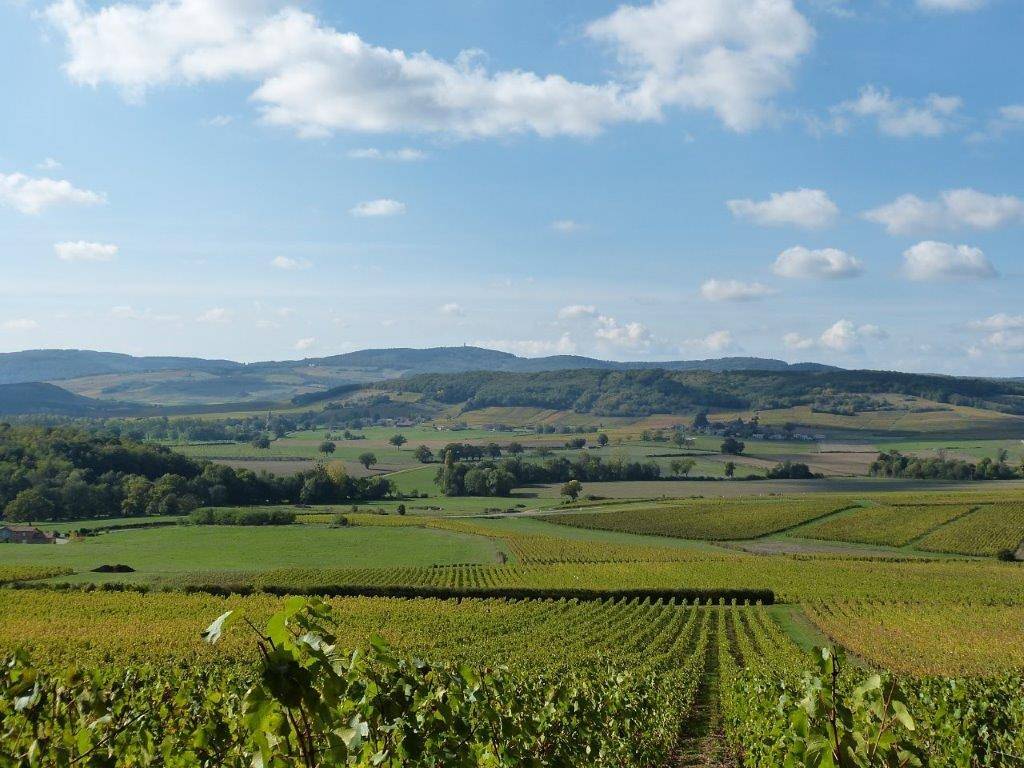 Les Sarmentelles in Région de Mâcon