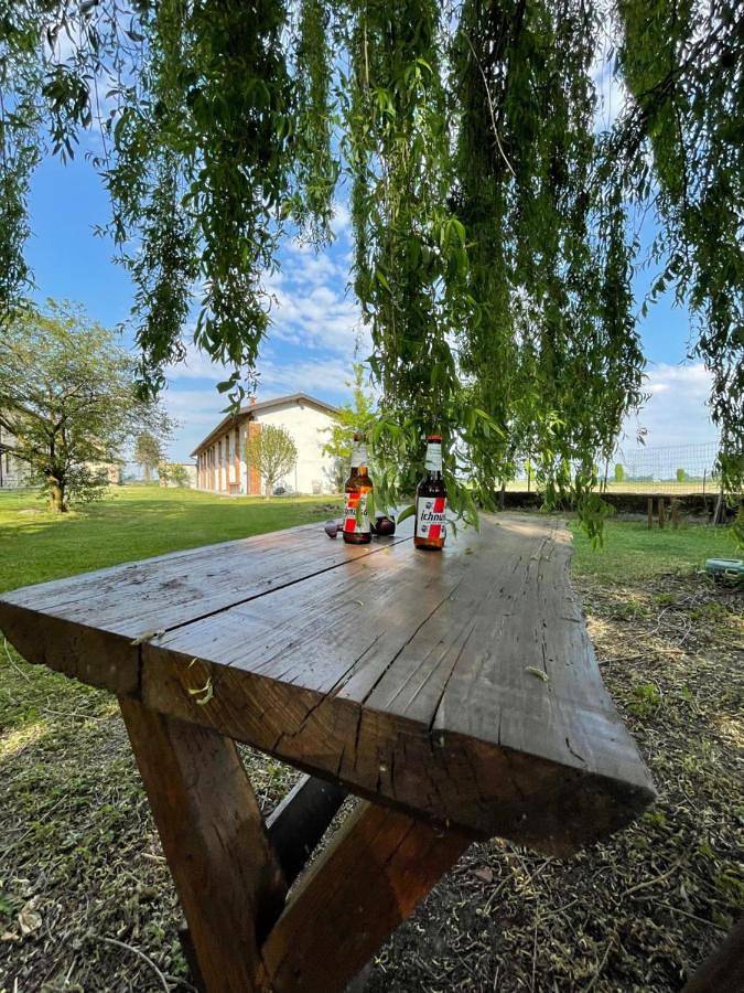 Maison de campagne pour 4 personnes, avec Terrasse ainsi que Jardin et Vue à Pavie - 3