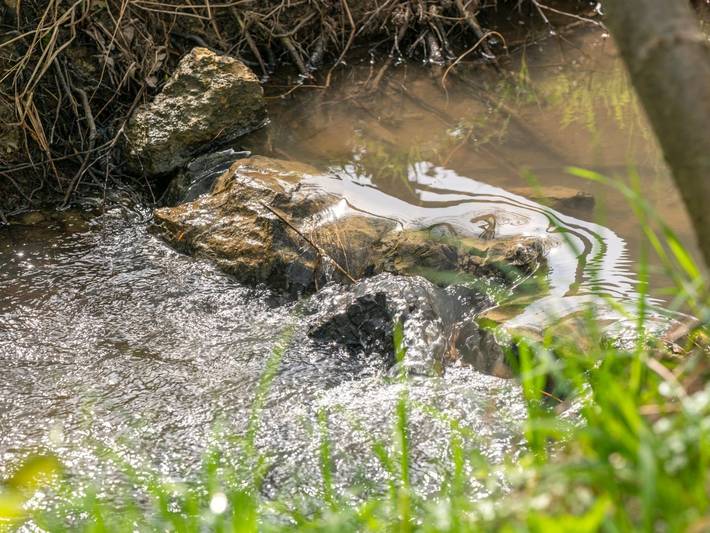 Zelt für 2 Personen, mit Haustier in Kroatien - 4