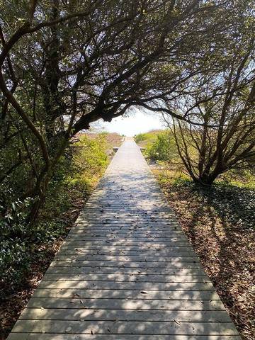 Vacation House for 9 Guests in Virginia Beach, Picture 2