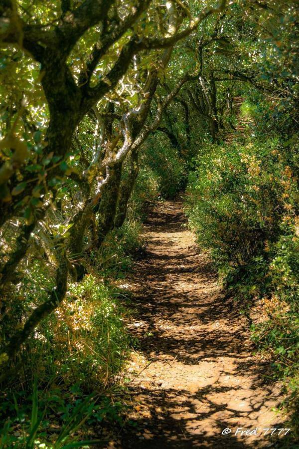 Gîte pour 4 personnes, avec vue et jardin, adapté aux familles dans Plage des Vergnes - 3