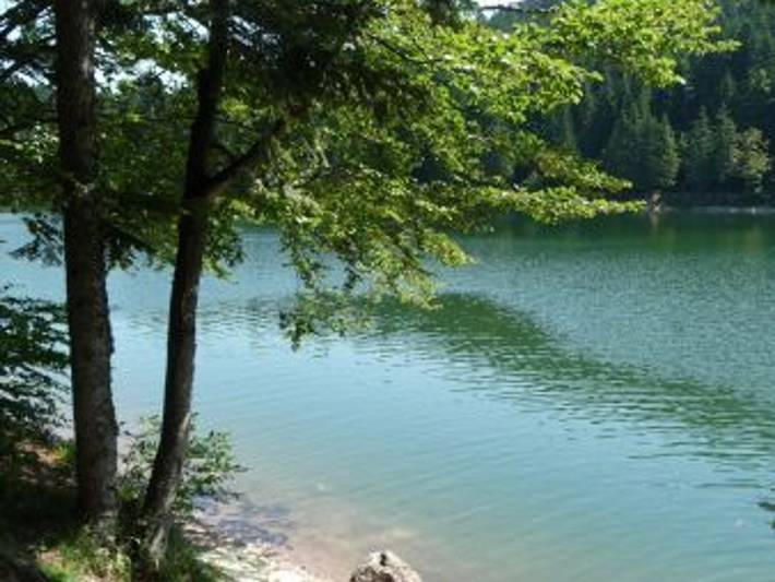 Gîte für 7 Personen, mit Garten, mit Haustier in den Vogesen - 2