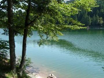 Gîte voor 7 Personen in Rochesson, Épinal en omgeving, Afbeelding 1