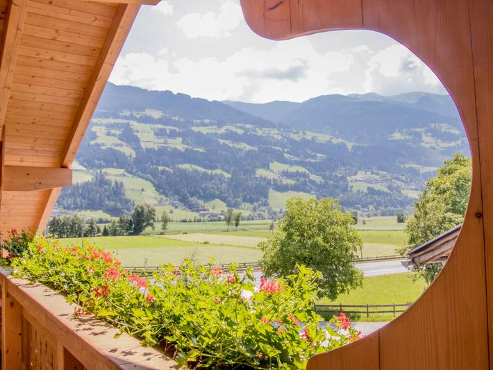 Ganze Wohnung, Apartment Söllbacherhof in Tuxer Alpen, Fügen