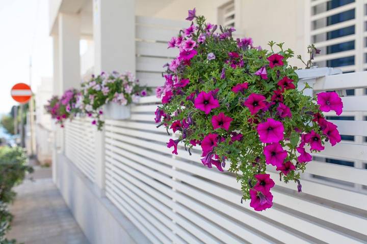 Double Room with Private Bathroom in Cozze, Mola di Bari