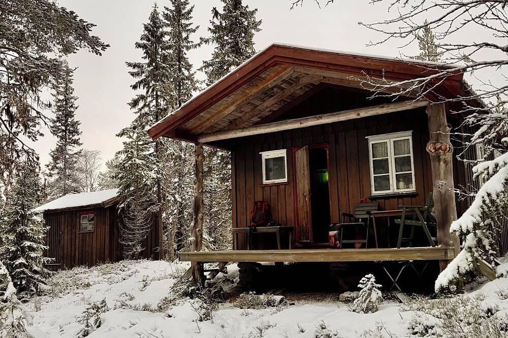 Cozy Lakeside Cottage - in the middle of the forest in Snåsa