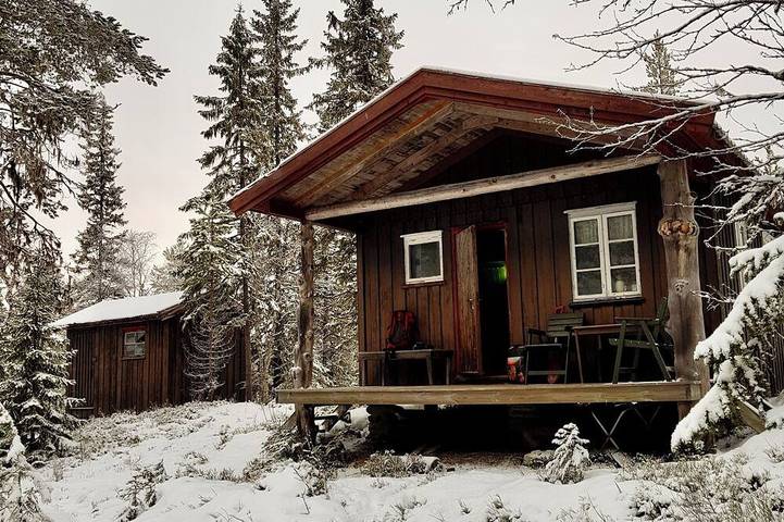 Cozy Lakeside Cottage - in the middle of the forest in Snåsa