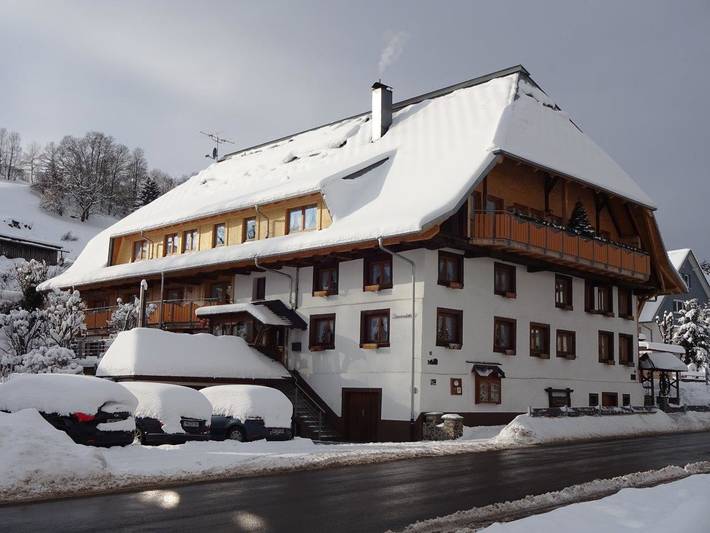 Ferienwohnung für 4 Personen, mit Balkon/Terrasse und Terrasse sowie Garten in Suedlicher Schwarzwald - 2