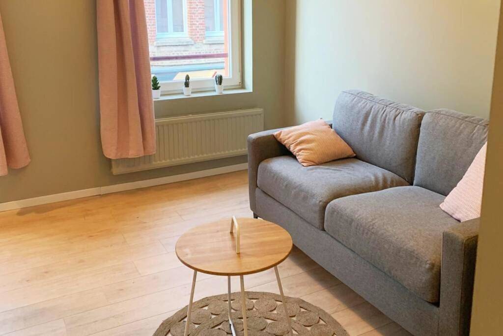 Appartement entier, Studio Apartment in Caudry, Département Nord