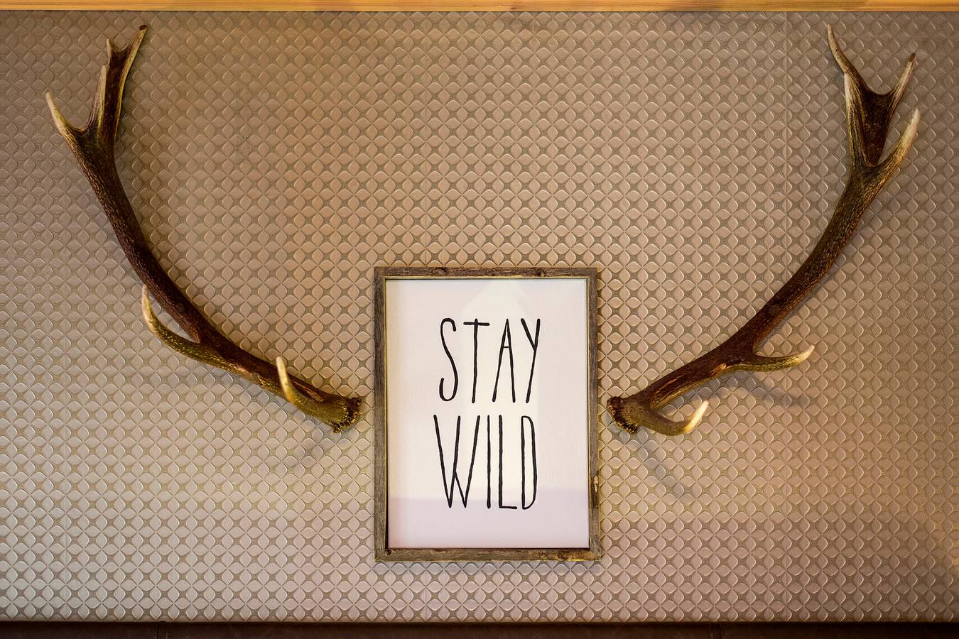 Ganze Ferienwohnung, Appartements Enzian, App. Grünberg in Finkenberg, Zillertaler Alpen