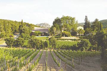 Château pour 10 personnes, avec piscine ainsi que jardin et terrasse dans l' Aude