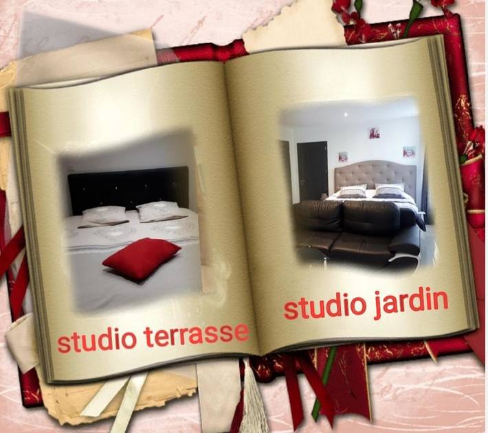 Gîte pour 2 personnes, avec Terrasse ainsi que Jardin et Vue à Templeuve-en-Pévèle