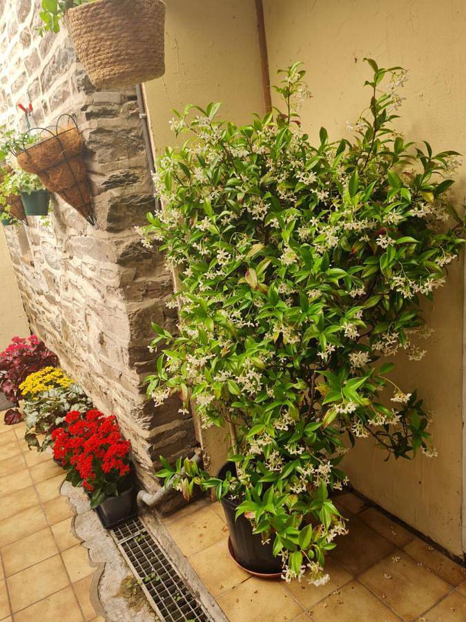 Location de vacances pour 10 personnes, animaux acceptés à Pont-d'Ouilly - 4