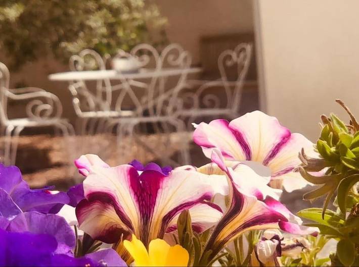 Location de vacances pour 4 personnes, avec vue ainsi que piscine et jardin à Villasavary - 4