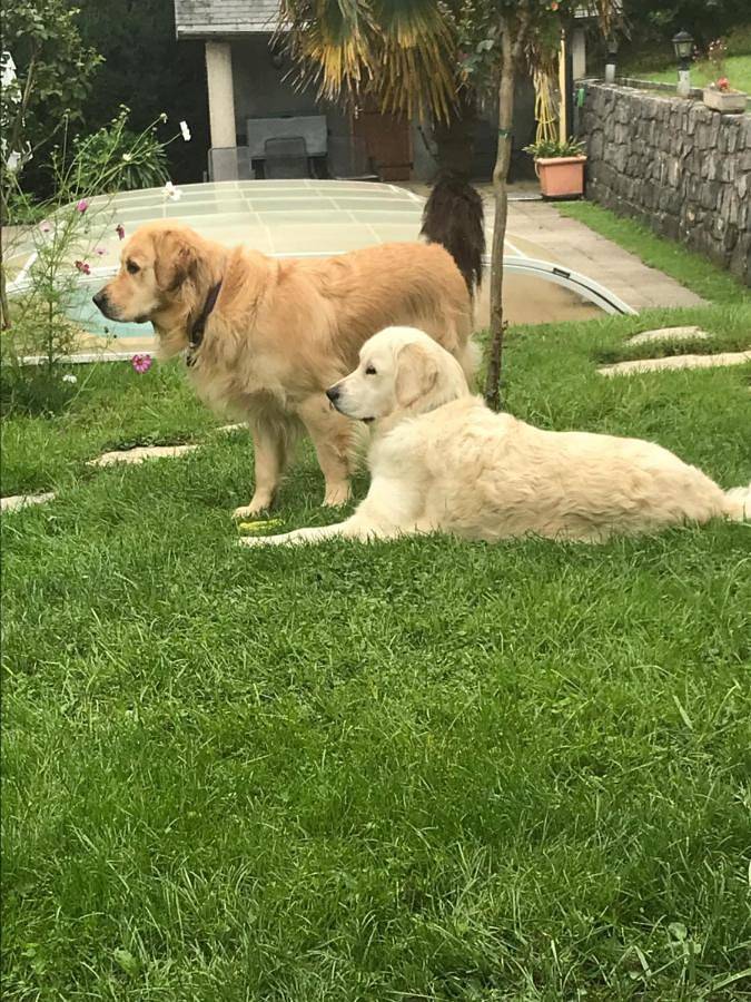 Location de vacances pour 2 personnes, avec piscine ainsi que jardin et vue à Viviers-du-Lac - 2