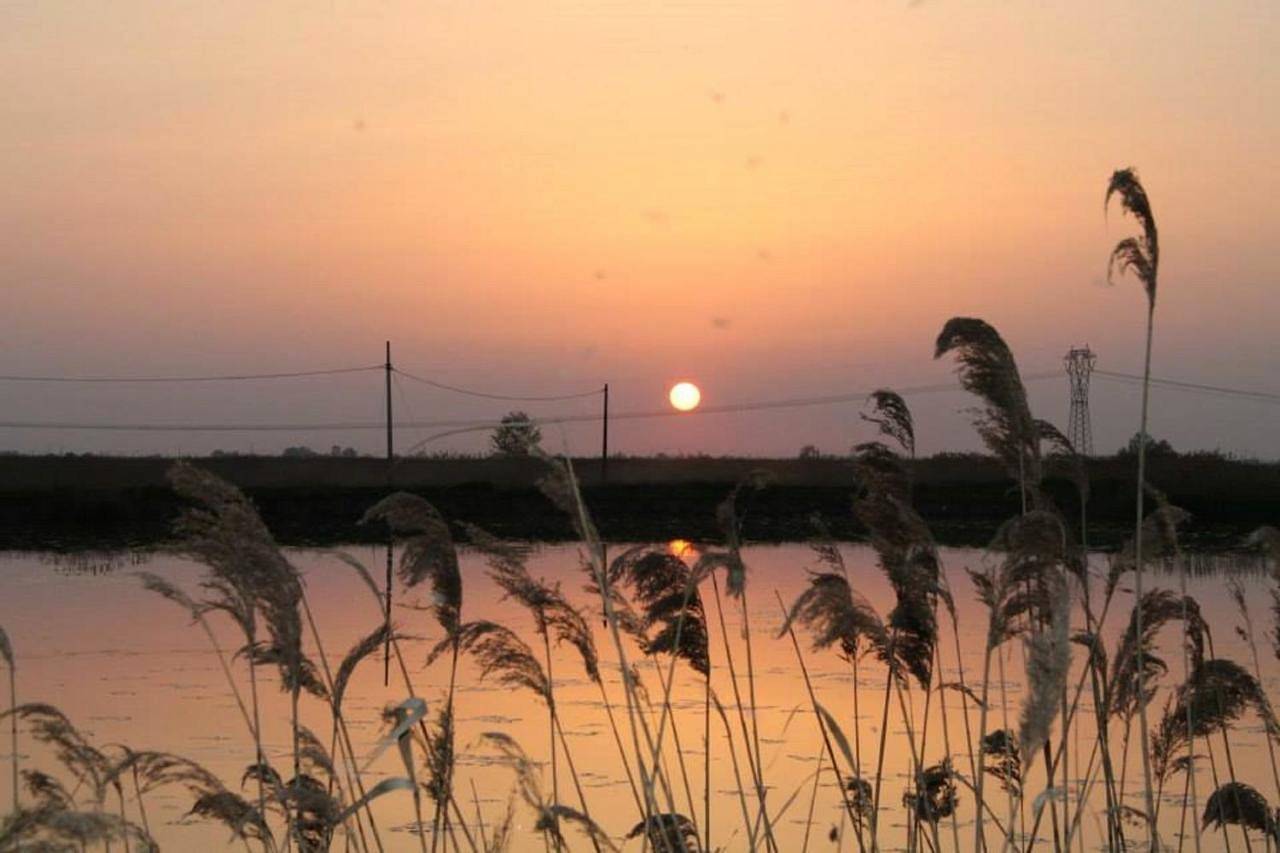 La Tomina in Mirandola, Provincia di Modena