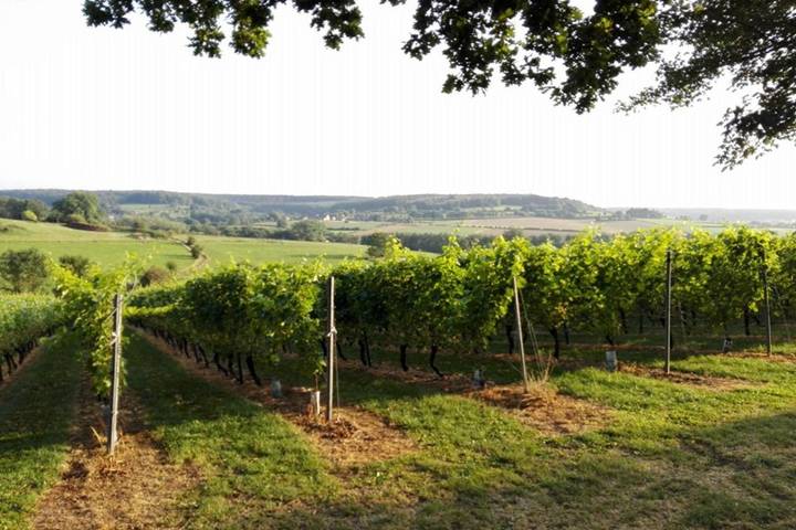 Hôtel pour 2 personnes, avec jacuzzi ainsi que jardin et sauna dans Teuven - 2