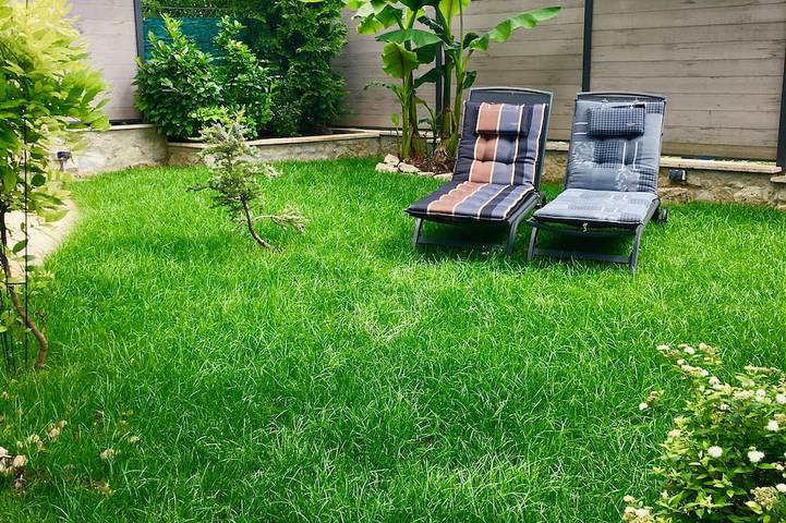Ferienhaus für 6 Personen, mit Balkon, mit Haustier im Weimarer Land - 4