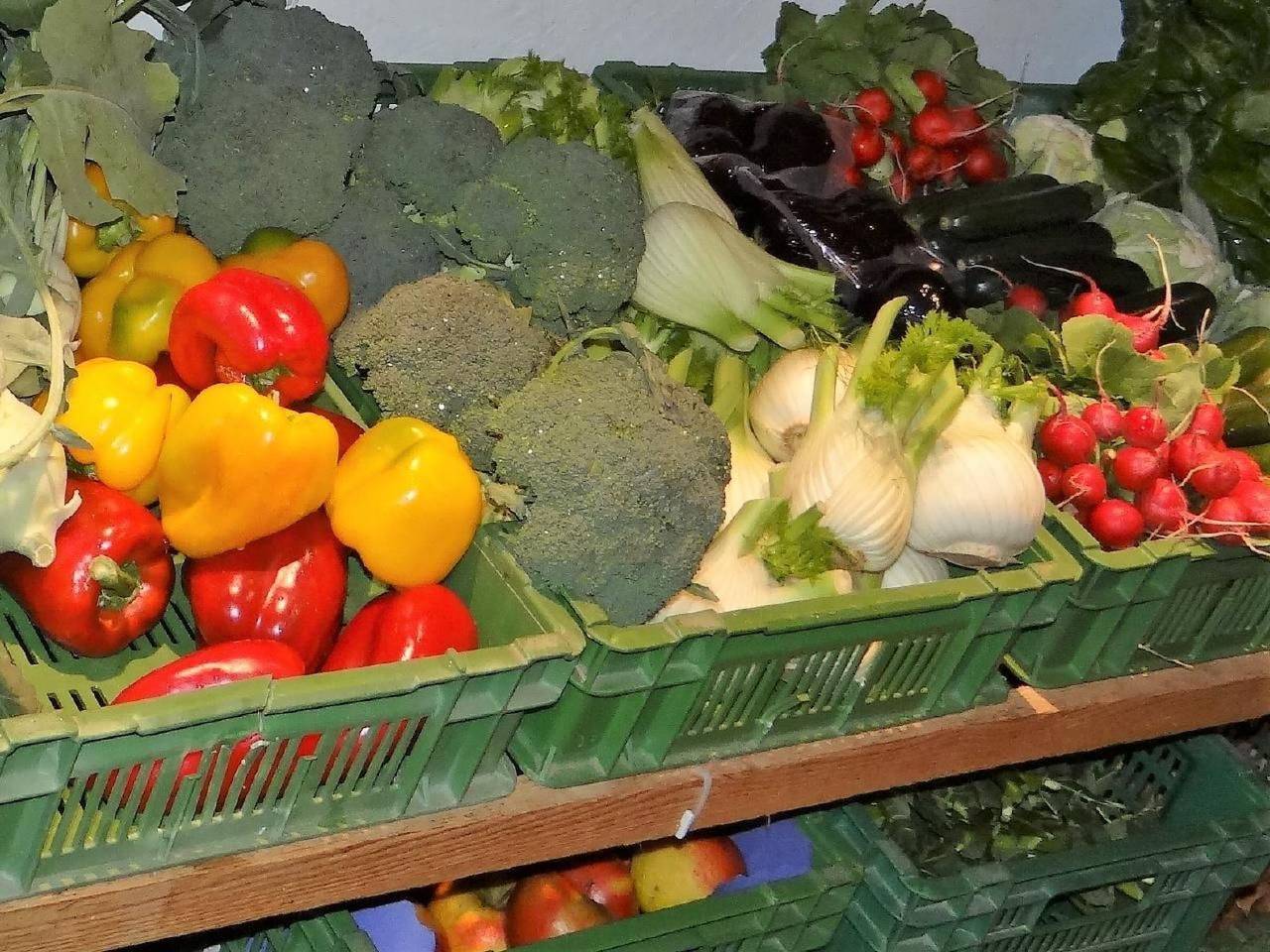 Ganze Wohnung, Hof Bommes in Gais (Bodensee), Mittelland