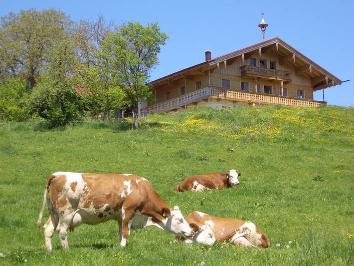 Ganze Ferienwohnung, Huberbauernhof Ferienwohnungen - Ferienzimmer Ramsau 20 qm 2 Personen, Wohnschlafraum, Terrasse in Piding, Bayerische Alpen