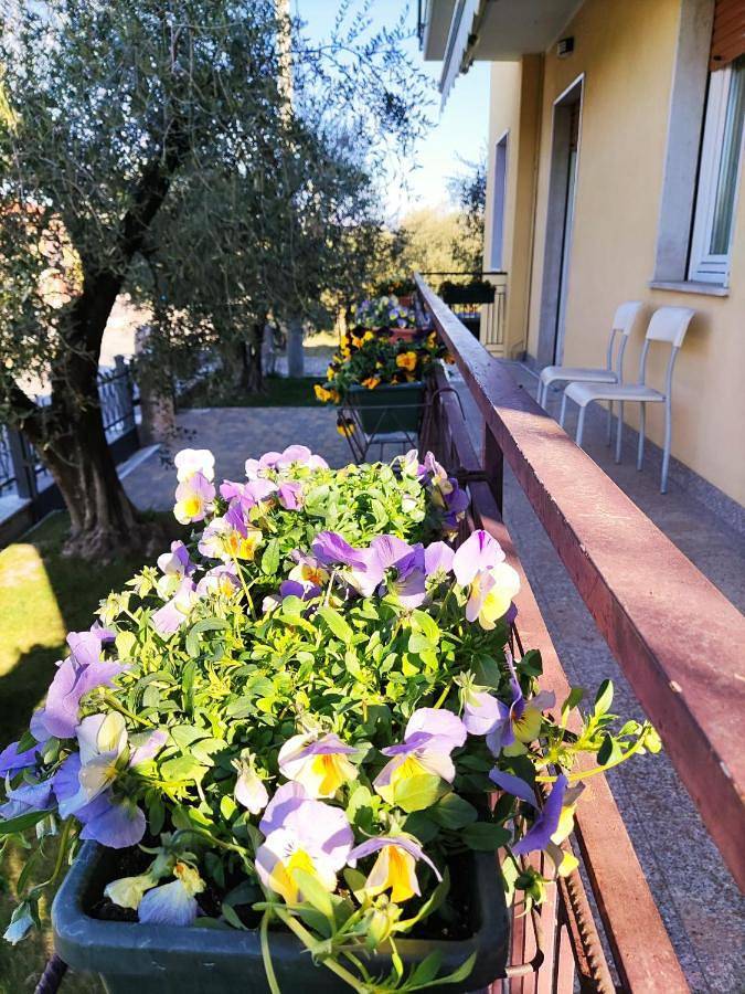Appartement entier, Appartamenti Bellini in Cisano, Bardolino