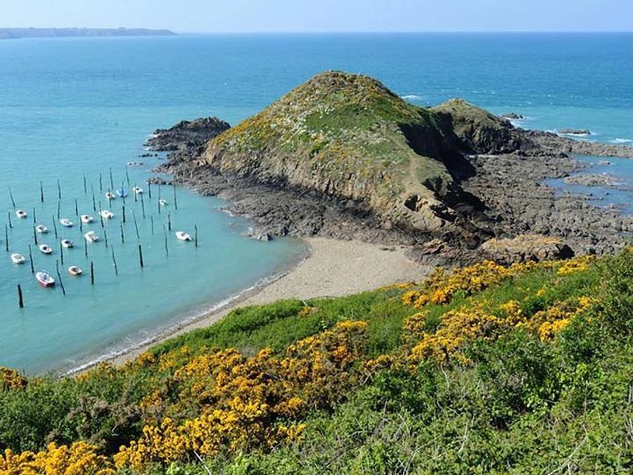 Flower Camping des Vallées - Tienda de lona y madera 3 personas - Tienda vivac 11m² 1habitación - sin sanitarios in Saint-Brieuc, Côte de Goëlo