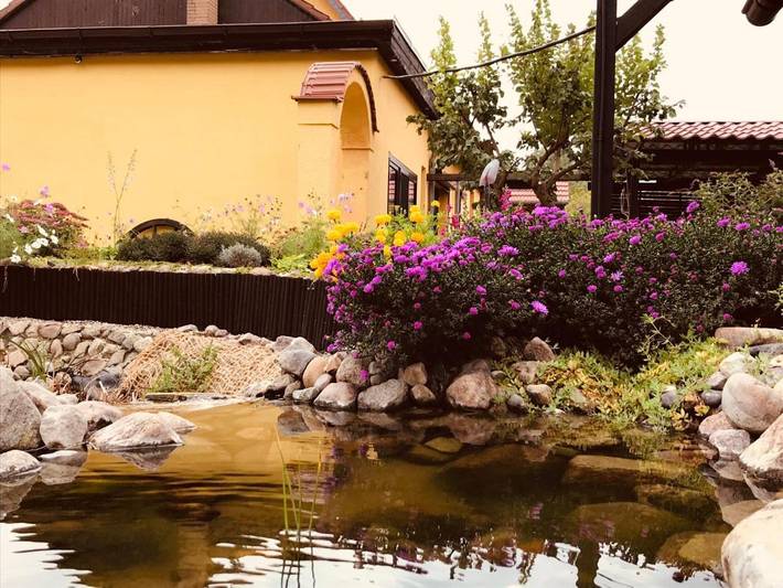 Ferienhaus für 5 Personen, mit Terrasse und Garten sowie Ausblick in Oderbruch - 2