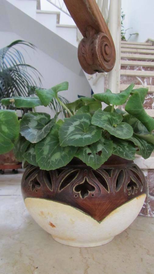 Bed & Breakfast Alice in Valderice, Provincia di Trapani