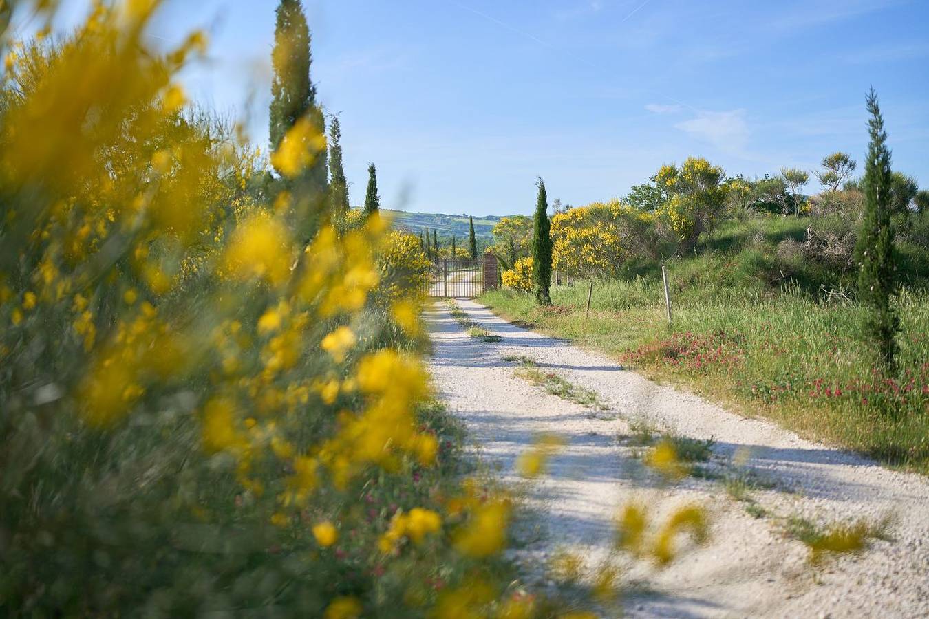 Casa vacanza per 9 persone con piscina in San Casciano dei Bagni, Siena e dintorni