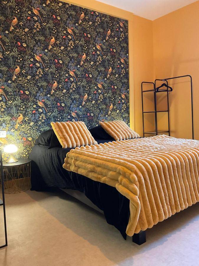 Location de vacances pour 6 personnes, avec terrasse ainsi que vue et jardin à Épernay - 4