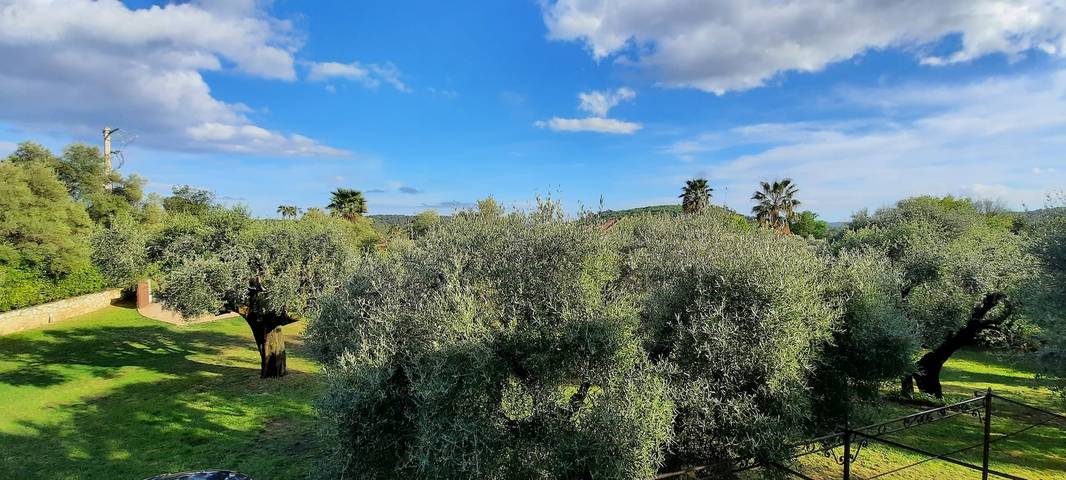 Location de vacances pour 8 personnes, avec jardin et terrasse à Tourrettes-sur-Loup - 4