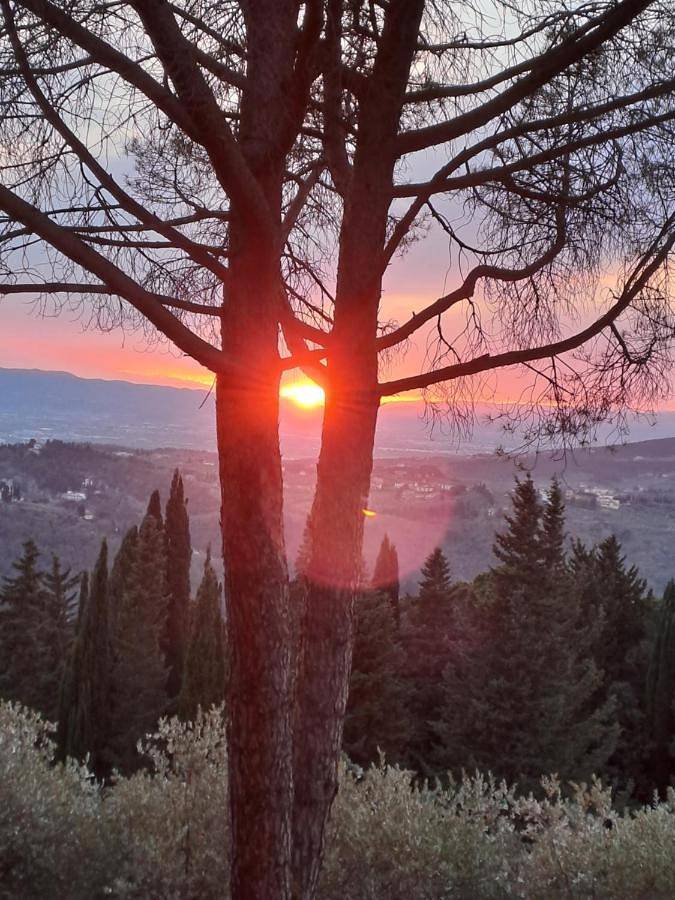 Location de vacances pour 2 personnes, avec terrasse et vue, animaux acceptés à Fiesole - 3