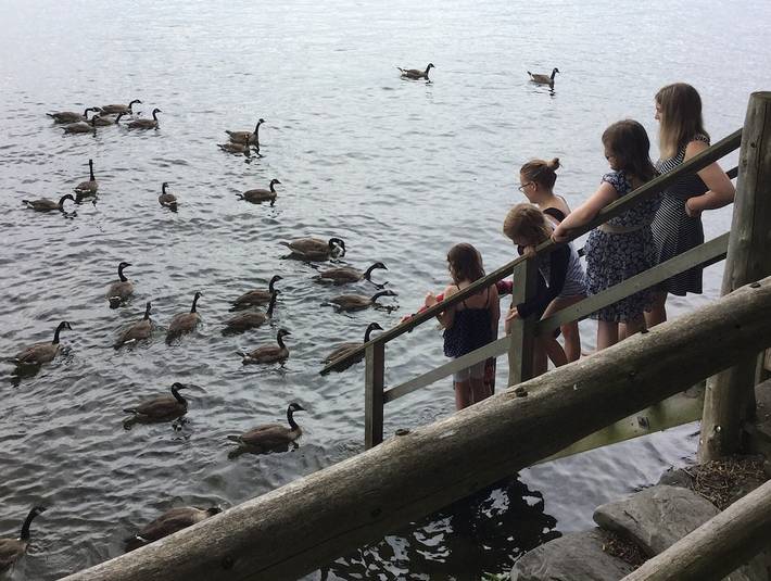 Vacation rental for 3 people, with yard in Lake Champlain