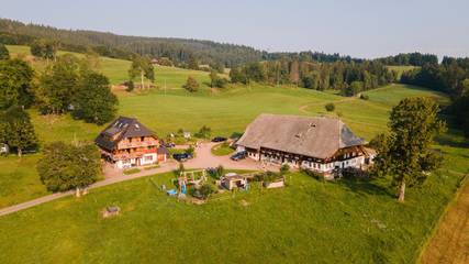 Ferienwohnung für 4 Personen in Suedlicher Schwarzwald, Hinterzarten, Bild 1