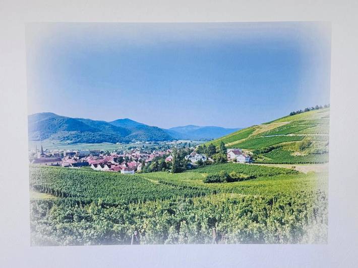 Gîte pour 2 personnes, avec vue ainsi que sauna et jardin à Turckheim - 4