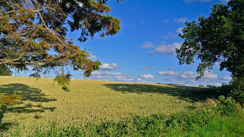 Ferienhaus für 6 Personen, mit Garten in Hejlsminde - 2